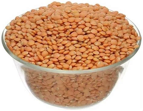 Red Masoor Dal Maharashtra High In Protein At Rs 100 Kg In Gorakhpur