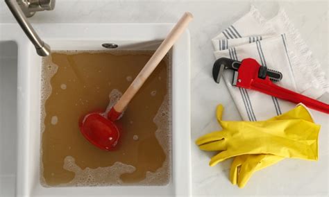 7 Easy Steps To Fix A Clogged Sink A Comprehensive Guide LS Plumber