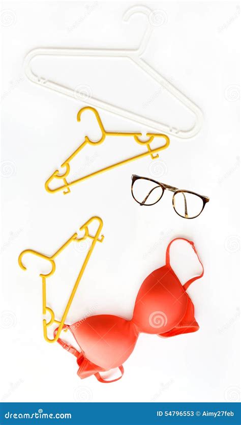 Concepto Del Bikini Del Verano Con El Bikini Y Las Lentes Aislados En