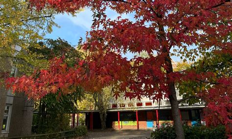 Rudolf-Roß-Grundschule – Eine Schule für Alle – mitten im Herzen von ...