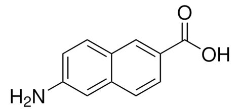 6 Amino 2 Naphthoic Acid 90 116668 47 4