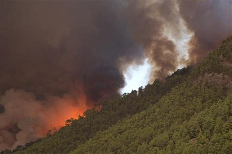 El Incendio De Tenerife Ya Ha Afectado A Cerca De Hect Reas