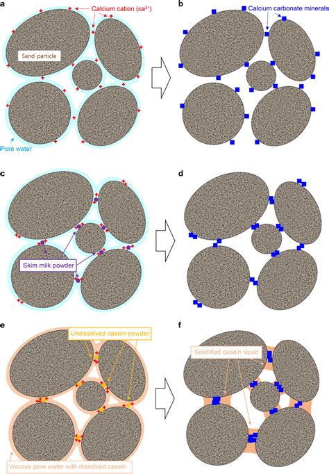 Schematic of the potential biocementation mechanisms via EICP only ...