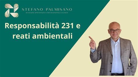 Responsabilità 231 e reati ambientali 3 di 4 YouTube