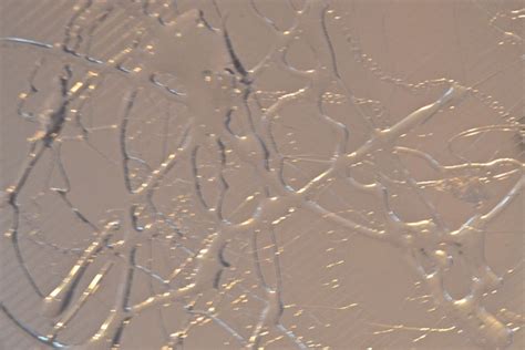 Hot Glue Gun Tips Country Design Style