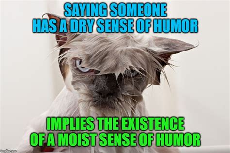 Moist Memes And S Imgflip