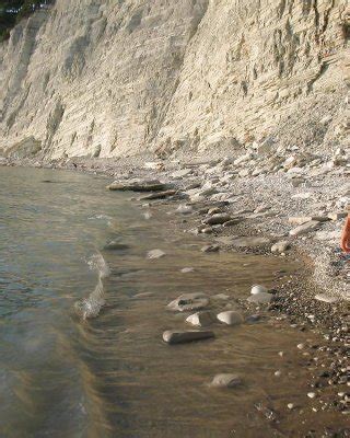 Hairy Beach Pussy Porn Pictures Xxx Photos Sex Images Pictoa