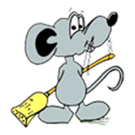 putzmaus america  putzmaus   automatic  andreas koechl