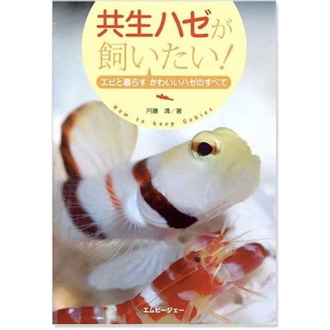 【アスクル】 エムピージェー 共生ハゼが飼いたい！ 161529 1個（直送品） 通販 Askul（公式）