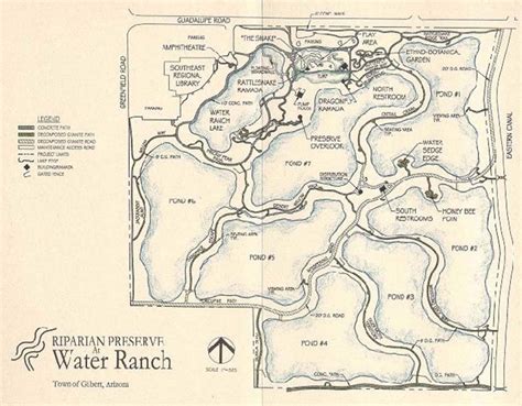 , Riparian Preserve at Water Ranch, Gilbert, AZ Source: Water Ranch ...