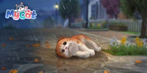 My Cat Pet Game Simulator Lets You Care For A Cuddly Kitty Out Now On