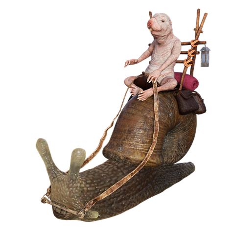 Free Naked Mole Rat Heterocephalus Glaber Images Pixabay