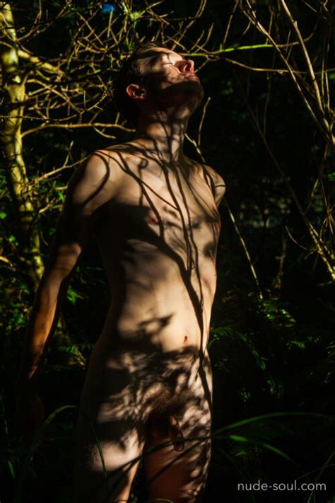 Forest Bathing Light And Shadow Nude Soul Art Photos
