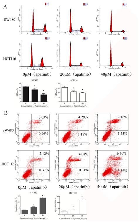 Apatinib Inhibited Cell Proliferation In Vitro A Cell Viability