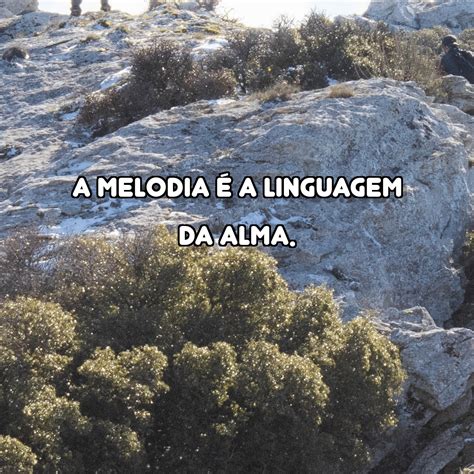 A melodia é a linguagem da alma Fraserama