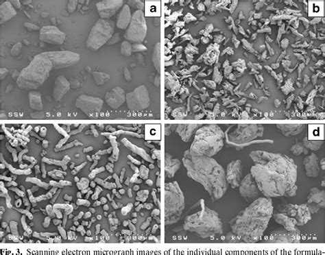 Figure 3 From A Comparison Of Granules Produced By High Shear And