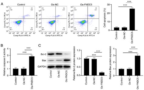 Overexpression Of Fndc5 Promotes Apoptosis Of Adrenocortical Carcinoma