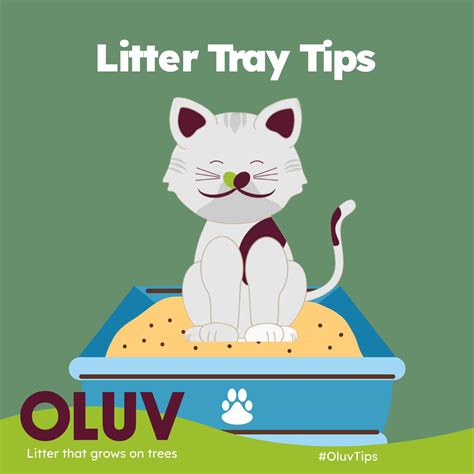 OLUV - 🚫 Cat Not Using the Litter Box? Here's Why and... | Facebook