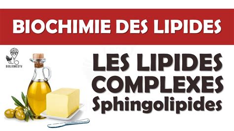 Biochimie Des Lipides Complexes Introduction Aux Sphingolipides YouTube