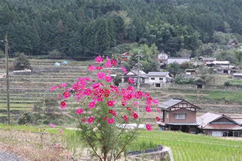 安芸路散策・小河内（安佐北区安佐町）の棚田 Awakin Blog