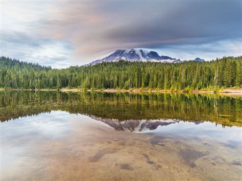 washingtons mount rainier national park  travel guide