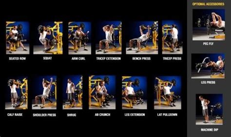 Powertec Levergym Workout Chart Eoua Blog