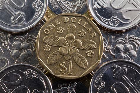 5500 Singapore Gold Coins Stock Photos Pictures And Royalty Free