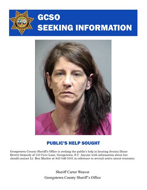 A system glitch affected the Georgetown county booking and releasing process 1