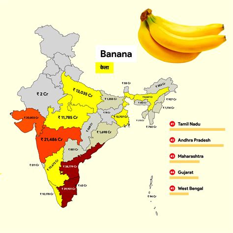 banana  golden fruit  india nutrition benefits