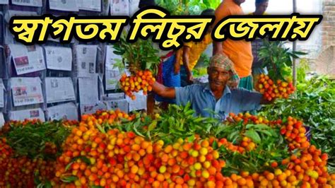 bangladeser sb theke bd licur bajar dinajpur lichu bazar