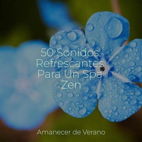 Sonidos Refrescantes Para Un Spa Zen By M Sica Ambiental Relajante