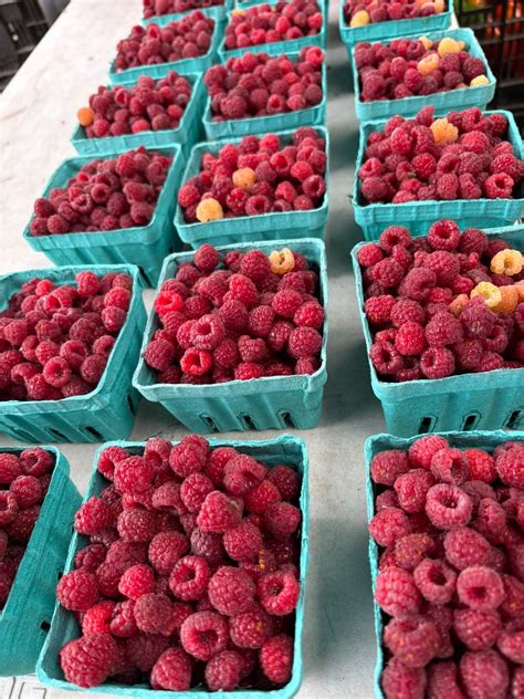 Eau Claire Downtown... - Eau Claire Downtown Farmers Market