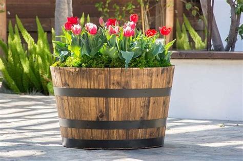 31 Fantastic Whiskey Barrel Planters Ideas