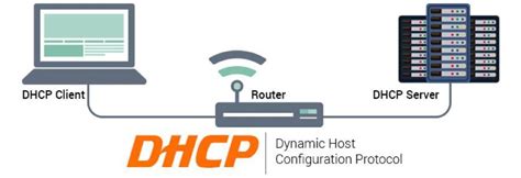 C Mo Activar El Protocolo Dhcp Caracter Sticas Pros Y Contras