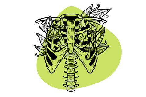 Jedi Mind Fuck Magic Mushroom Strain Everything You Need To Know Tripsitter