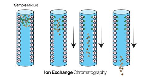 ion exchange chromatography diagram