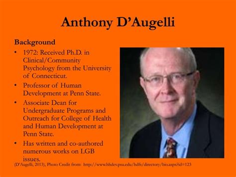 D Augelli S Theory Of Lesbian Gay And Bisexual Development PPTX