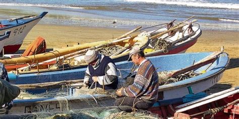 Fao Lanza Plan Robustecer La Pesca Artesanal El Economista