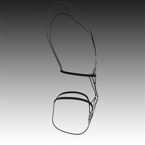 Sexy Lingerie SS D Model By RumenD