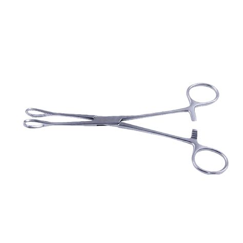 Sponge Holding Forceps | Surgical Tools