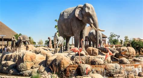 Dubai Safari Park Tickets. Best Prices & Online Offers | TicketsToDo