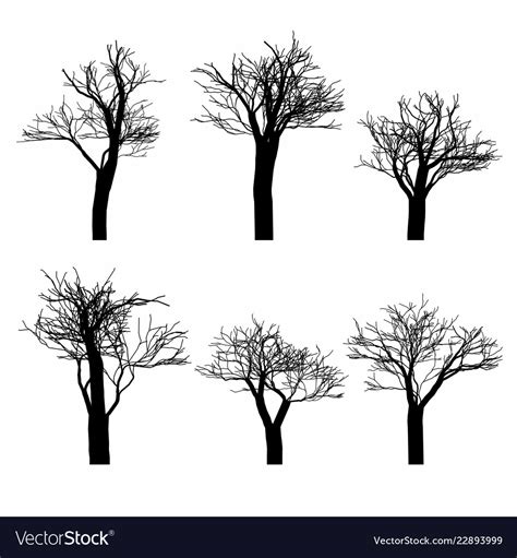 Set Black Naked Trees Silhouette Set Royalty Free Vector