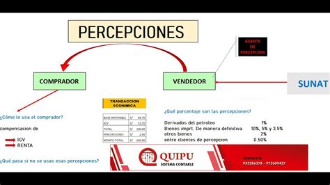 Descubre Todo Sobre Las Percepciones Sunat Y Su Impacto En Tus Tr Mites