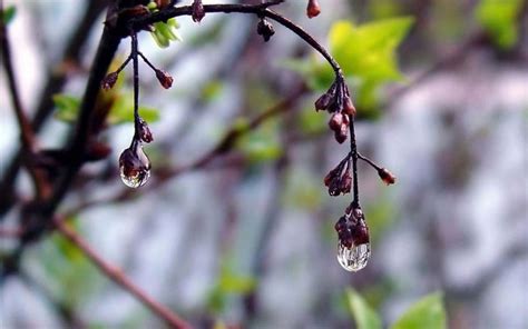 Апрель (Оксана Залилова) / Стихи.ру