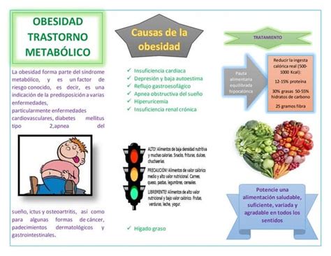 Obesidad Triptico