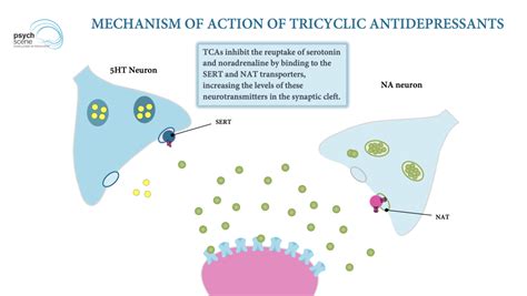 Tricyclic Antidepressants Psychopharmacological Differences