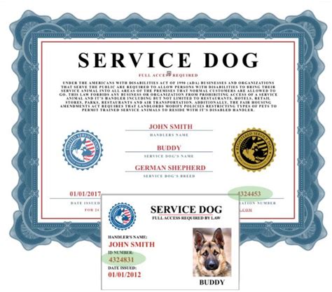 how to get a dog licensed as a service dog