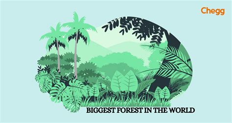 Dive The Top Biggest Forest In The World Around The Globe