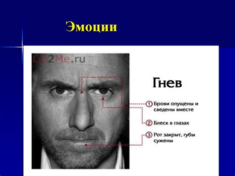 Эмоционально-волевые процессы - презентация онлайн