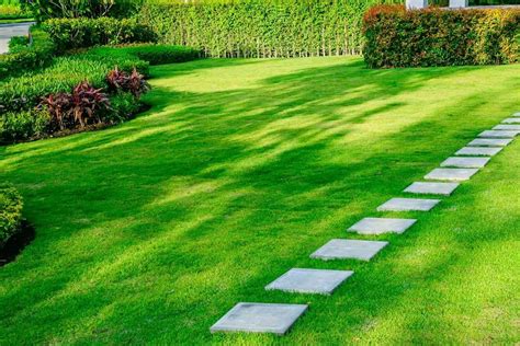The Secret To Having A Perfectly Green Lawn Without Any Grass Noodls